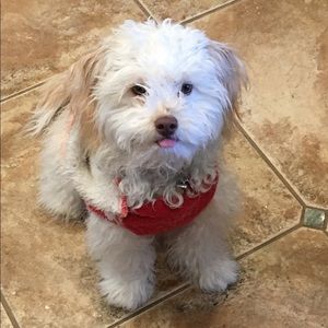 Meet your Posher, Leah